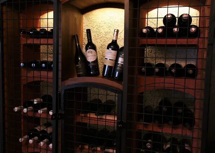 Hotelli Skyline Airport 4*